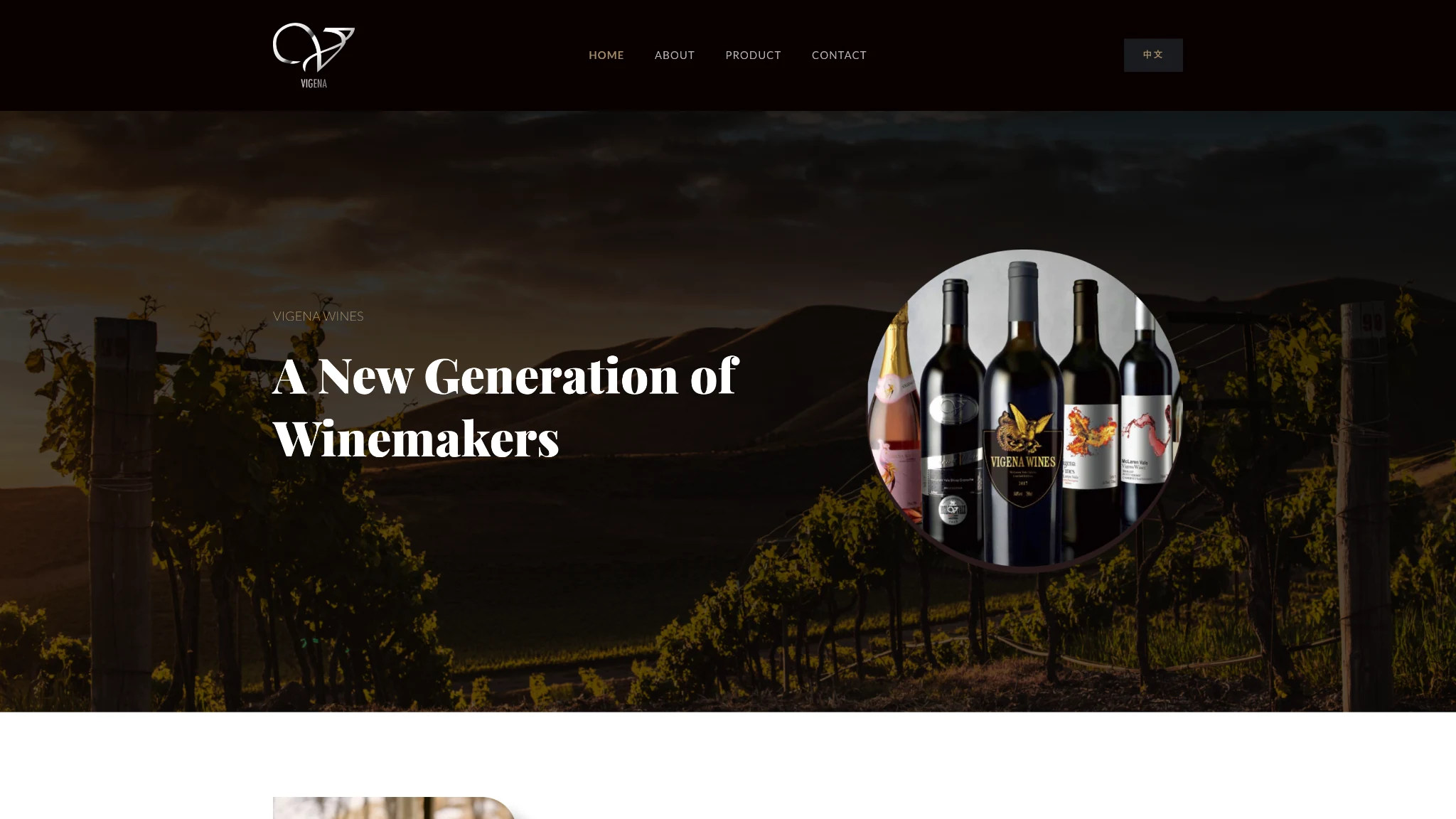 Vigena Wines website homepage